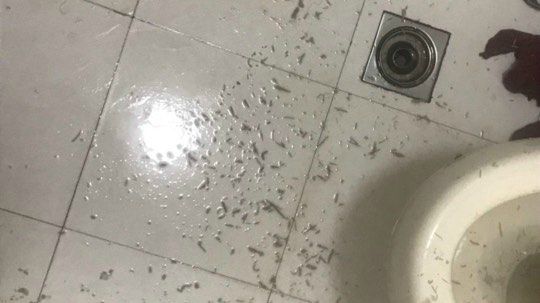 双线操作，看细节