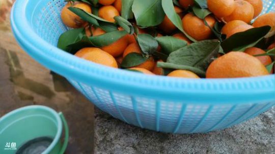 天气好起来了 2020-01-30 13点场