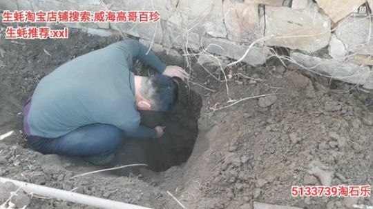 龙马精神丶老狼哥发布了一个斗鱼视频2020-01-31