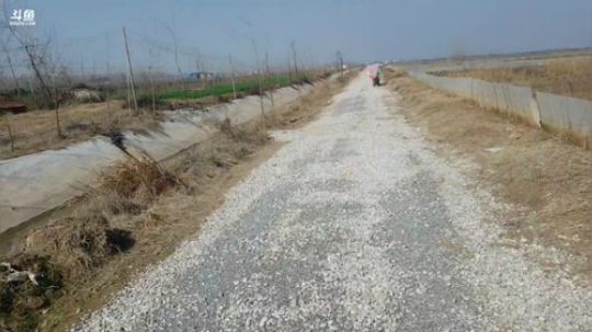 天气好起来了 2020-01-31 12点场