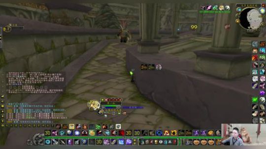 魔兽世界怀旧服：小伙厄运北演示杀国王超简单，引到狗也照杀不误