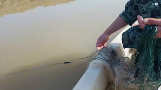 天气好起来了 2020-01-31 14点场