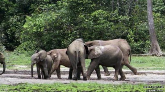 静思世语发布了一个斗鱼视频2020-01-31