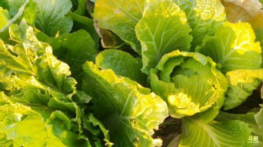 天气好起来了 2020-01-31 16点场