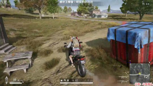 馒头：更新新视频了! 2020-01-29 05点场