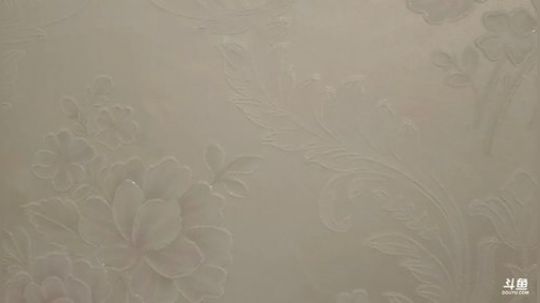我在斗鱼看做个疯子直播户外