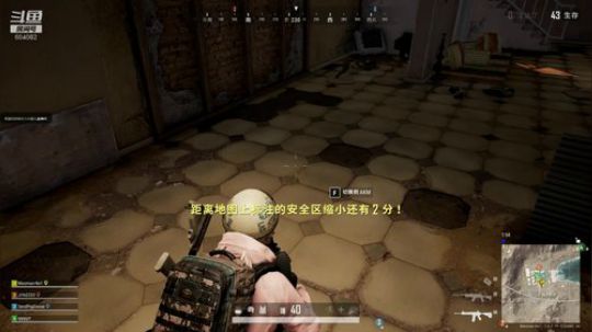 猫：吃鸡如饮水 2020-01-31 21点场