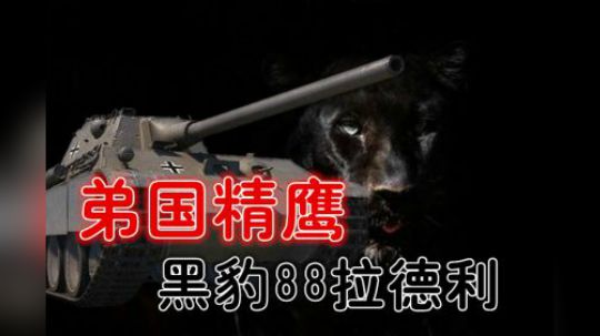 坦克世界 谁说弟国中坦只会黑 今天给你打个样