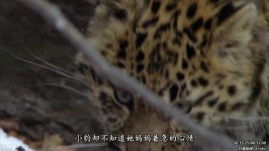 静思世语发布了一个斗鱼视频2020-02-01