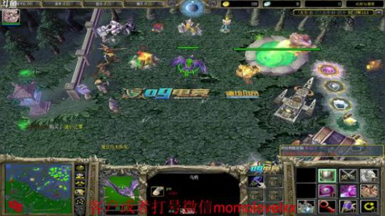 omg战神の直播间 2020-02-01 14点场