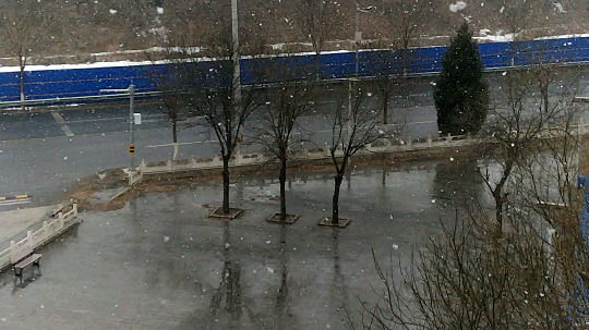 北京大雪，看着好爽，