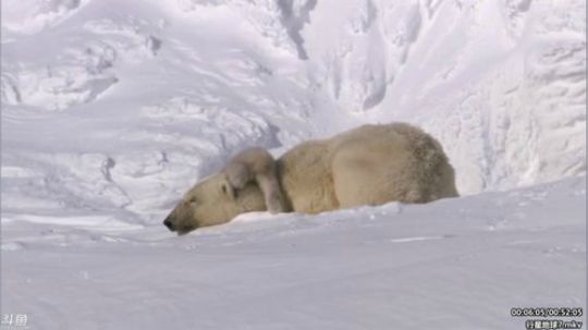 静思世语发布了一个斗鱼视频2020-02-02