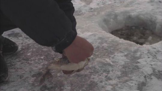 哆啦爱梦梦发布了一个斗鱼视频2020-02-02