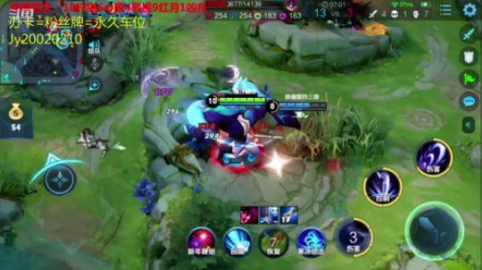 国服露娜：带粉办卡上车 2020-01-25 22点场