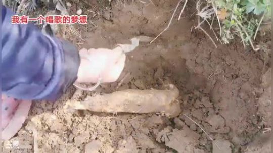 肖淑洁生命中的光和盐发布了一个斗鱼视频2020-02-03