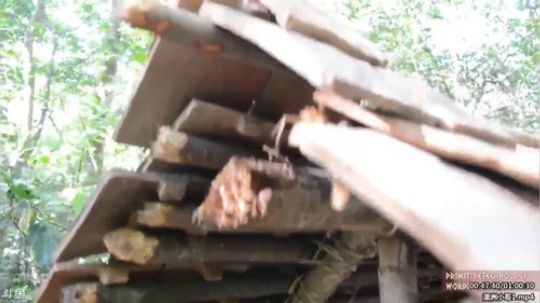 静思世语发布了一个斗鱼视频2020-02-03