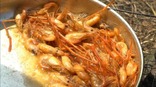 哆啦爱梦梦发布了一个斗鱼视频2020-02-03