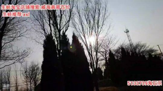 龙马精神丶老狼哥发布了一个斗鱼视频2020-02-03