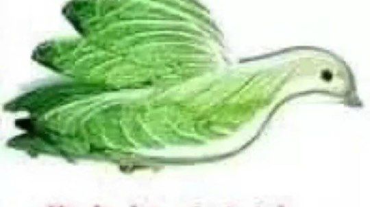 交最便宜的学费赚最多的分