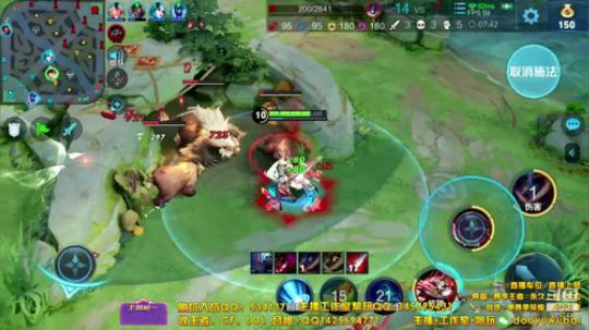 我在斗鱼看渝万五百狸子3岁直播王者荣耀