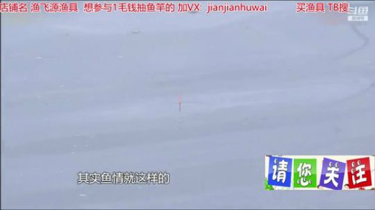 我在斗鱼看贱贱钓鱼直播乡野