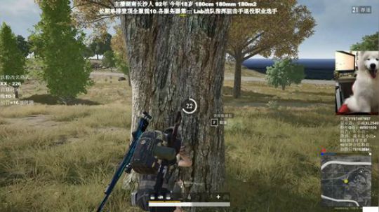千场KD9.0全网最强单排 2020-02-04 00点场