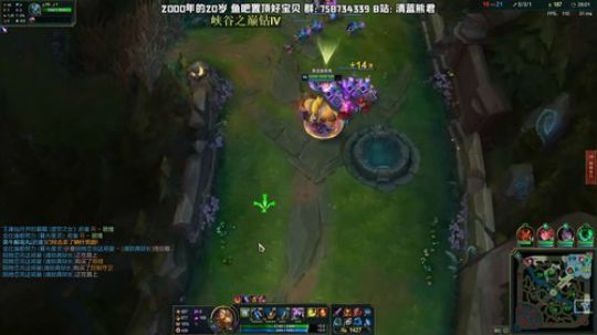 熊王c：大号已王者，小号也上王者中 2020-02-04 18点场