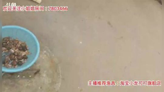 十一郎君01发布了一个斗鱼视频2020-02-05