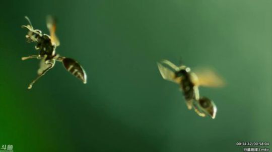 静思世语发布了一个斗鱼视频2020-02-05