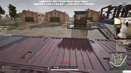 千场KD9.0全网最强单排 2020-02-04 22点场