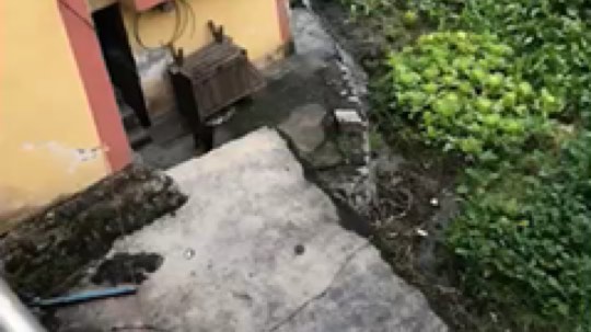 [鲨鱼打扰了]乡下封路了。回不去了