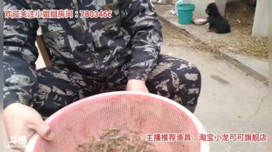 十一郎君01发布了一个斗鱼视频2020-02-05