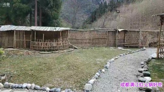 深山大咖加油(≧ω≦)/ 2020-02-06 13点场