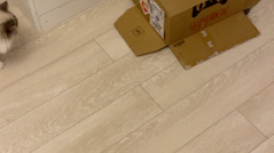 臭弟弟c2h发布了一个斗鱼视频2020-02-06