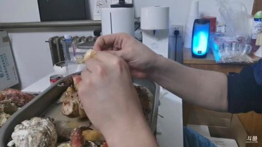 我在斗鱼看无尽无尽的无尽直播美食