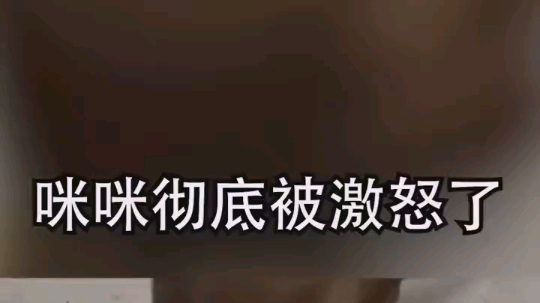 哈哈哈
