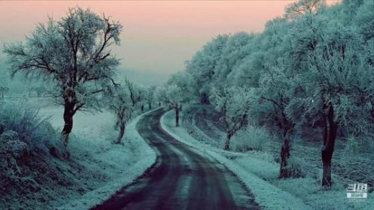 朱雀顶级三开 2020-02-04 12点场