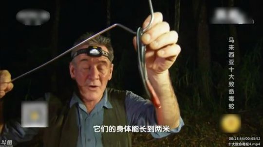 静思世语发布了一个斗鱼视频2020-02-07