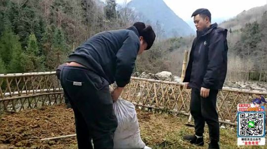 深山大咖加油(≧ω≦)/ 2020-02-07 15点场