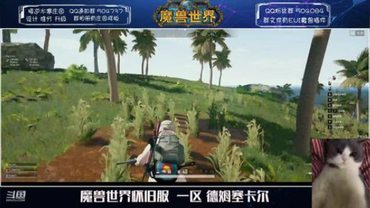 德姆塞卡尔 愿大家都平安！~ 2020-01-31 20点场