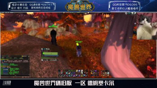 德姆塞卡尔 我有断牙了~ 2020-02-01 19点场