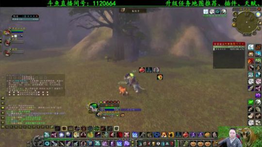 专业猎人主播，说出你的问题 2020-02-07 15点场