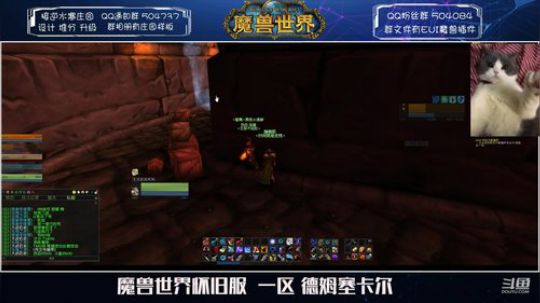 德姆塞卡尔 我有断牙了~ 2020-02-02 14点场