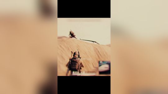 不瞒你说，当时我也很慌