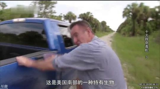 护法惊丶发布了一个斗鱼视频2020-02-08