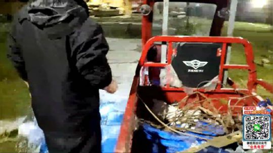 深山大咖加油(≧ω≦)/ 2020-02-07 21点场