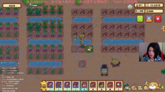 随缘游戏厅 2020-02-09 03点场
