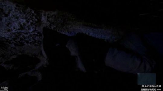 静思世语发布了一个斗鱼视频2020-02-09