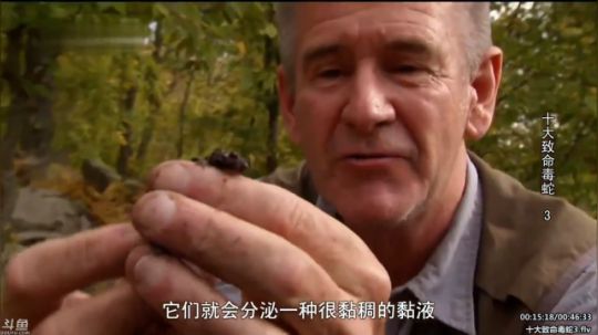 护法惊丶发布了一个斗鱼视频2020-02-09