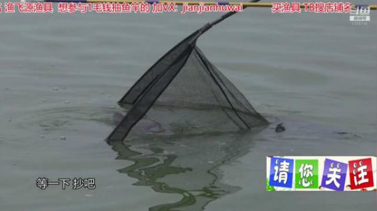 我在斗鱼看贱贱钓鱼直播乡野